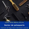 curso nivel básico peluquerias