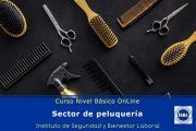 Curso de Nivel Básico: Peluquerías
