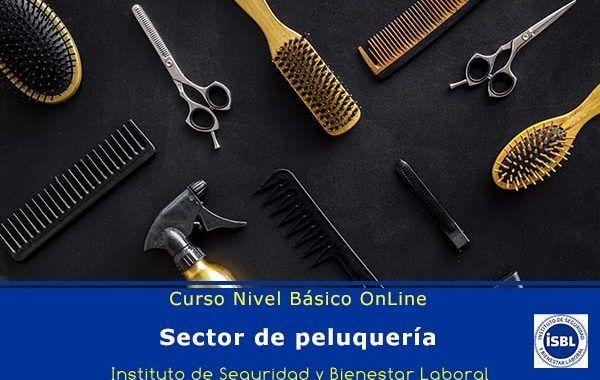 Curso de Nivel Básico: Peluquerías