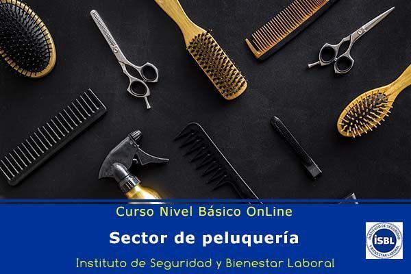 Curso de Nivel Básico: Peluquerías