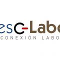 Desc-Labor