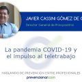 La pandemia COVID-19 y el impulso al teletrabajo