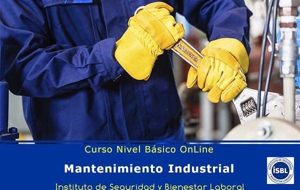 Curso de Nivel Básico: Mantenimiento