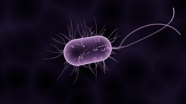 Legionella o Covid: el cuidado necesario para evitar confusiones