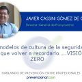 Los modelos de cultura de la seguridad. Hay que volver a recordarlo…..VISIÓN ZERO