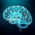 neurociencia