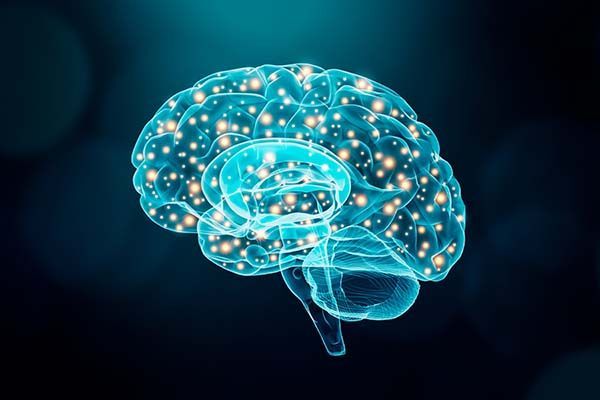 SBC y Neurociencia: ¿Compatibles