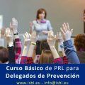 Curso de Formación para el desempeño de las funciones de nivel