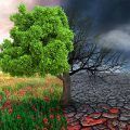 cambio climático