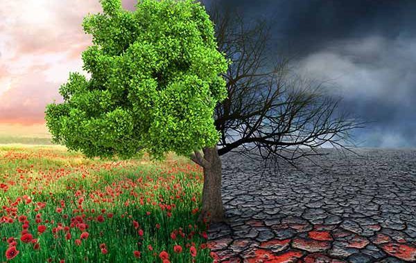 Cambio climático y salud respuesta de la OMS