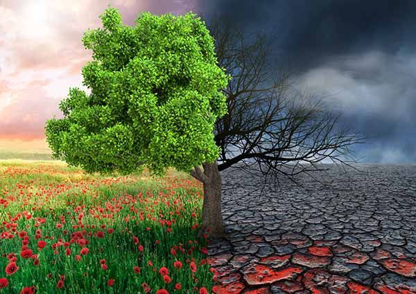La responsabilidad social empresarial y el cambio climático
