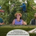 COAG inicia una campaña divulgativa sobre PRL en el sector agrario
