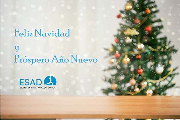 Feliz Navidad y Próspero Año Nuevo os desea ESAD