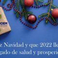 FELICITACION CROEM NAVIDAD 2021