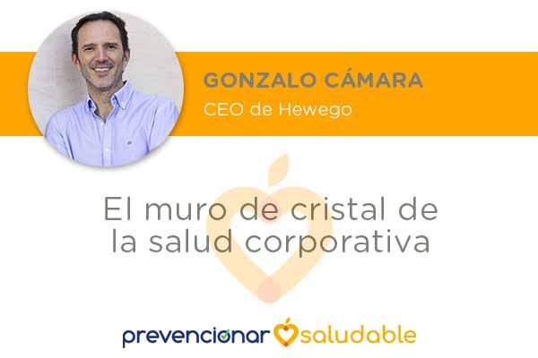 El muro de cristal de la salud corporativa Gonzalo Cámara