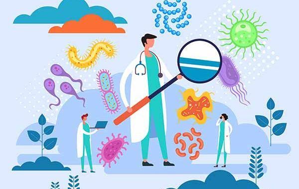 Directrices para evaluar el riesgo biológico