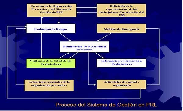 Proceso del sistema de gestión en PRL