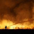 bomberos forestales