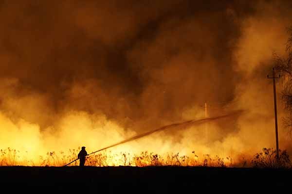 bomberos forestales