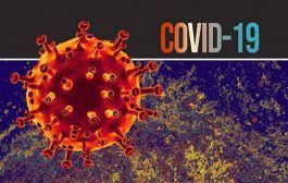 Procesos peligrosos en el ejercicio docente de las ingenieras en tiempos de Coronavirus