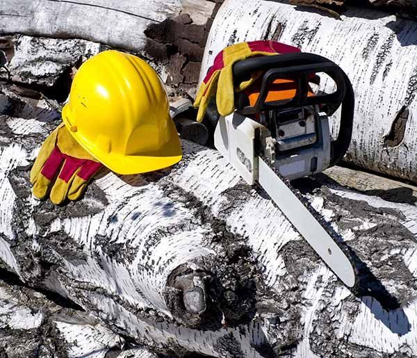 La Xunta apuesta por la formación en PRL en el sector forestal