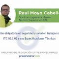 Raul Moyo Cabello