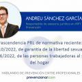 Trascendencia PRL de normativa reciente: LO 10/2022, de garantía de la libertad sexual y RD-ley 16/2022, de las personas trabajadoras al servicio del hogar