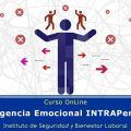 Inteligencia Emocional INTRAPersonal
