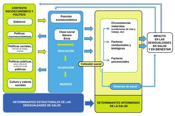 determinantes de la salud