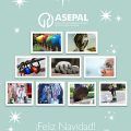 ASEPAL_NAVIDAD