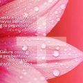 Calendario 2023 Salud laboral