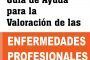 Guía de Ayuda para la Valoración de las Enfermedades Profesionales (Vol II)
