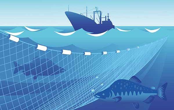 Cuaderno de Prevención: Pesca de cerco y arrastre