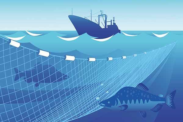 Cuaderno de Prevención: Pesca de cerco y arrastre