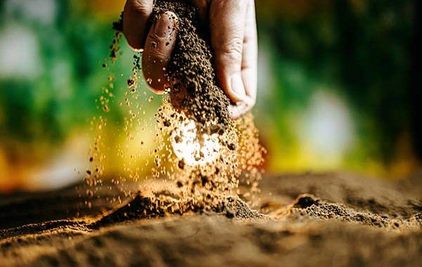 Guía de procesos de trabajo seguro en cultivos hortícolas