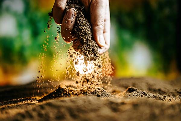 agricultura riesgos laborales