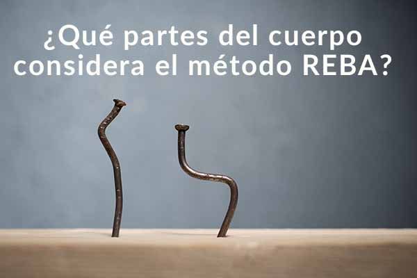 ¿Qué partes del cuerpo considera el método REBA?