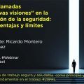 Las llamadas "nuevas visiones" en la gestión de la seguridad: sus ventajas y límites