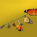 10 consejos para reinventarte como técnico de prevención