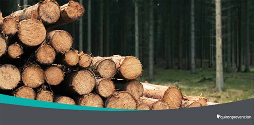 Efectos sobre la salud por exposición a polvo de madera