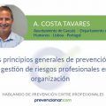 Los principios generales de prevención en la gestión de riesgos profesionales en la organización