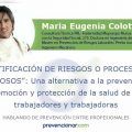 Maria Eugenia Colotto A. Consultora