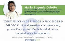 Identificación de riesgos o procesos peligrosos