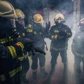 Cascos forestales y de rescate técnico