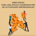 Directrices para la gestión eficaz de la coordinación de actividades empresariales (CAE)