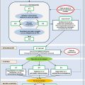 coordinación de actividades empresariales