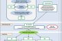 Esquema general del proceso de coordinación de actividades empresariales