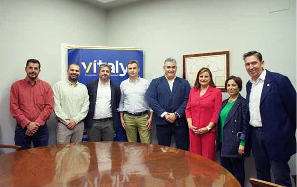 Vitaly adquieres PREVEMÁS y SINERGIA 3 para consolidar su liderazgo en Murcia