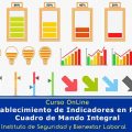 Establecimiento de Indicadores en PRL: Cuadro de Mando Integral