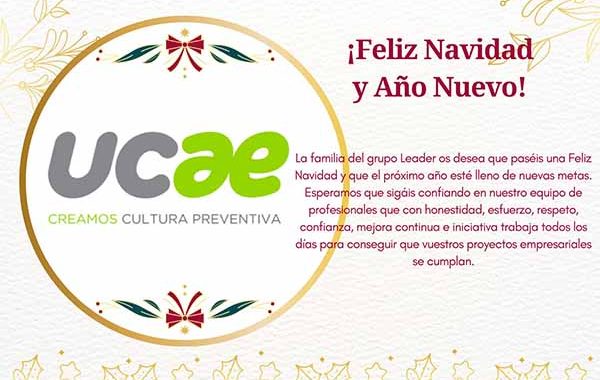 ¡Feliz Navidad y Año Nuevo!